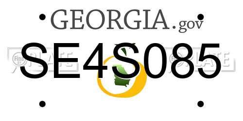 SE4S085 Georgia License Plate
