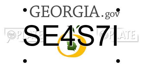 SE4S7I Georgia License Plate