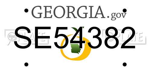 SE54382 Georgia License Plate