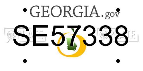 SE57338 Georgia License Plate