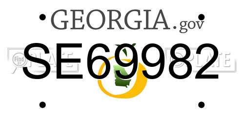 SE69982 Georgia License Plate