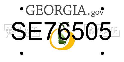 SE76505 Georgia License Plate