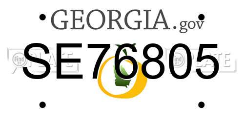 SE76805 Georgia License Plate