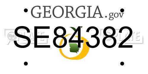 SE84382 Georgia License Plate