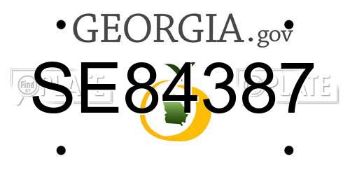 SE84387 Georgia License Plate