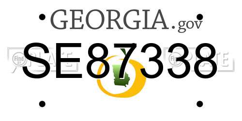 SE87338 Georgia License Plate