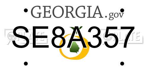 SE8A357 Georgia License Plate