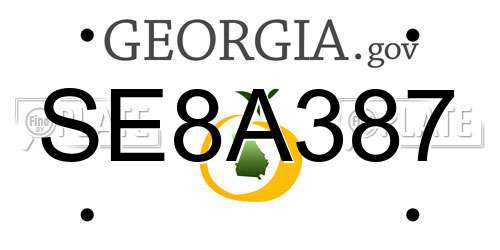 SE8A387 Georgia License Plate