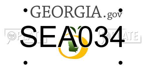 SEA034 Georgia License Plate