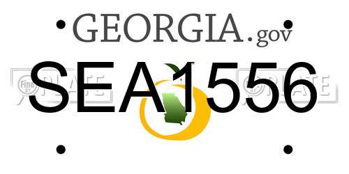 SEA1556 Georgia License Plate