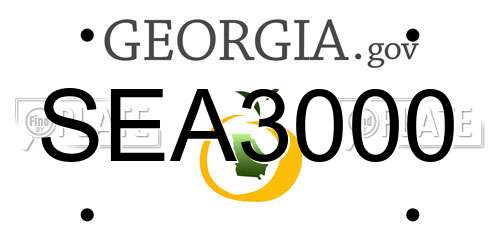 SEA3000 Georgia License Plate