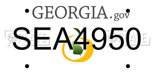 SEA4950 Georgia License Plate
