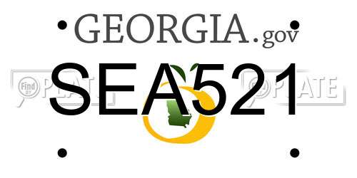 SEA521 Georgia License Plate