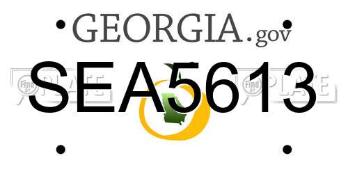 SEA5613 Georgia License Plate