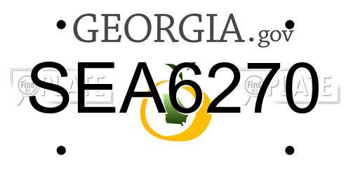 SEA6270 Georgia License Plate