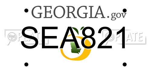 SEA821 Georgia License Plate