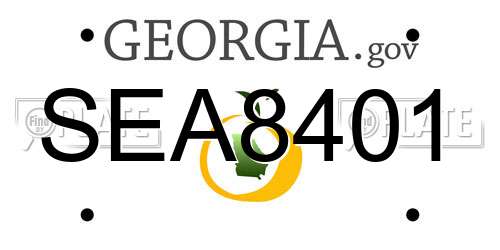 SEA8401 Georgia License Plate
