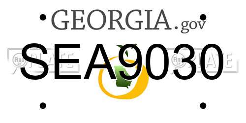 SEA9030 Georgia License Plate
