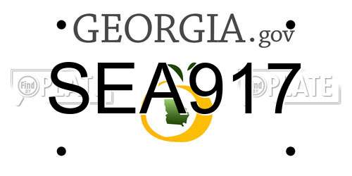 SEA917 Georgia License Plate