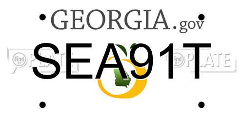 SEA91T Georgia License Plate