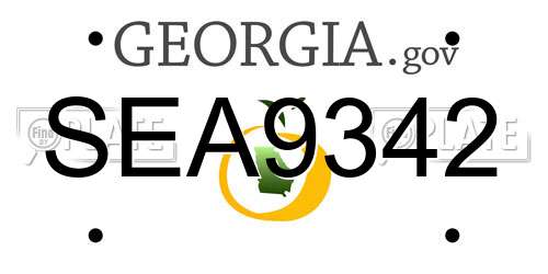 SEA9342 Georgia License Plate