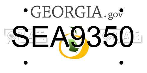 SEA9350 Georgia License Plate