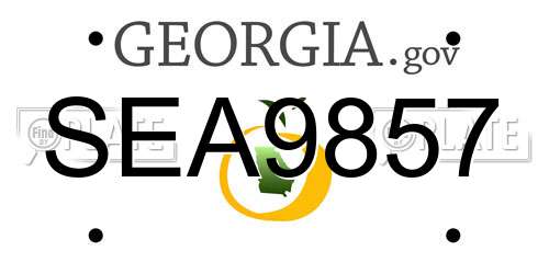 SEA9857 Georgia License Plate
