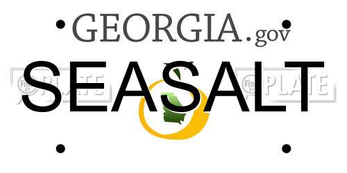 SEASALT Georgia License Plate