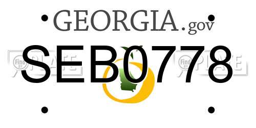 SEB0778 Georgia License Plate