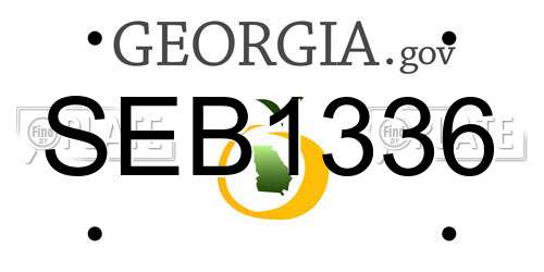 SEB1336 Georgia License Plate