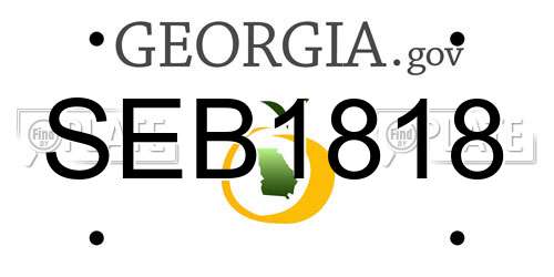 SEB1818 Georgia License Plate