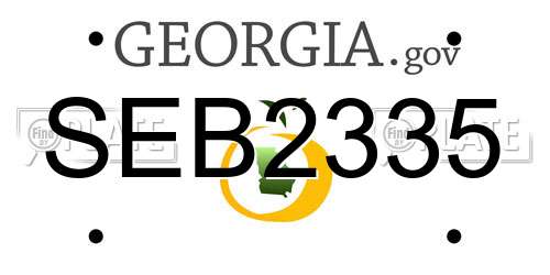 SEB2335 Georgia License Plate
