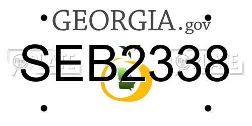 SEB2338 Georgia License Plate