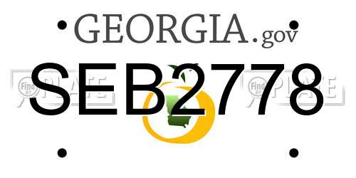 SEB2778 Georgia License Plate