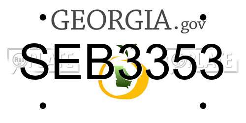 SEB3353 Georgia License Plate