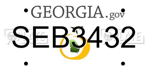 SEB3432 Georgia License Plate