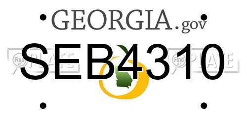 SEB4310 Georgia License Plate