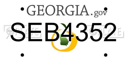 SEB4352 Georgia License Plate