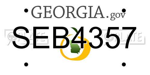 SEB4357 Georgia License Plate