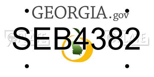 SEB4382 Georgia License Plate