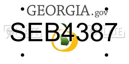 SEB4387 Georgia License Plate