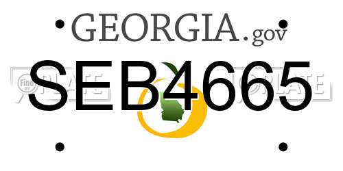 SEB4665 Georgia License Plate