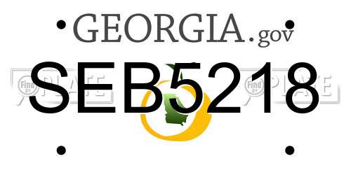 SEB5218 Georgia License Plate