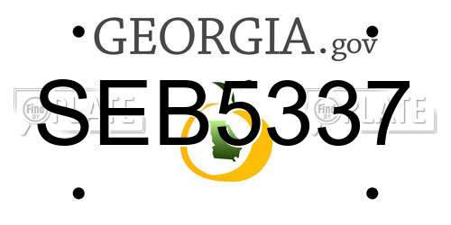 SEB5337 Georgia License Plate