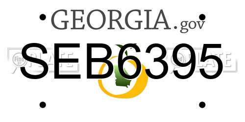 SEB6395 Georgia License Plate