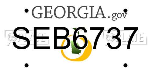 SEB6737 Georgia License Plate
