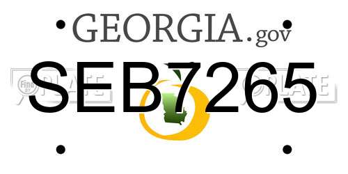 SEB7265 Georgia License Plate