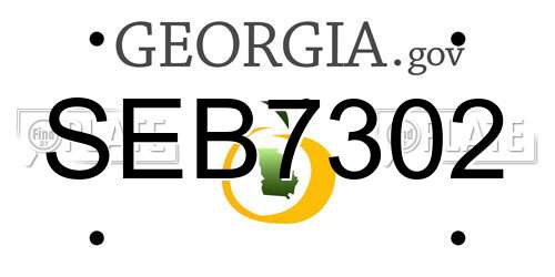 SEB7302 Georgia License Plate