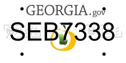 SEB7338 Georgia License Plate