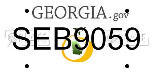 SEB9059 Georgia License Plate